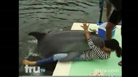 Hilarious Video of a Dolphin Humping a Female Tourist in Cuba。